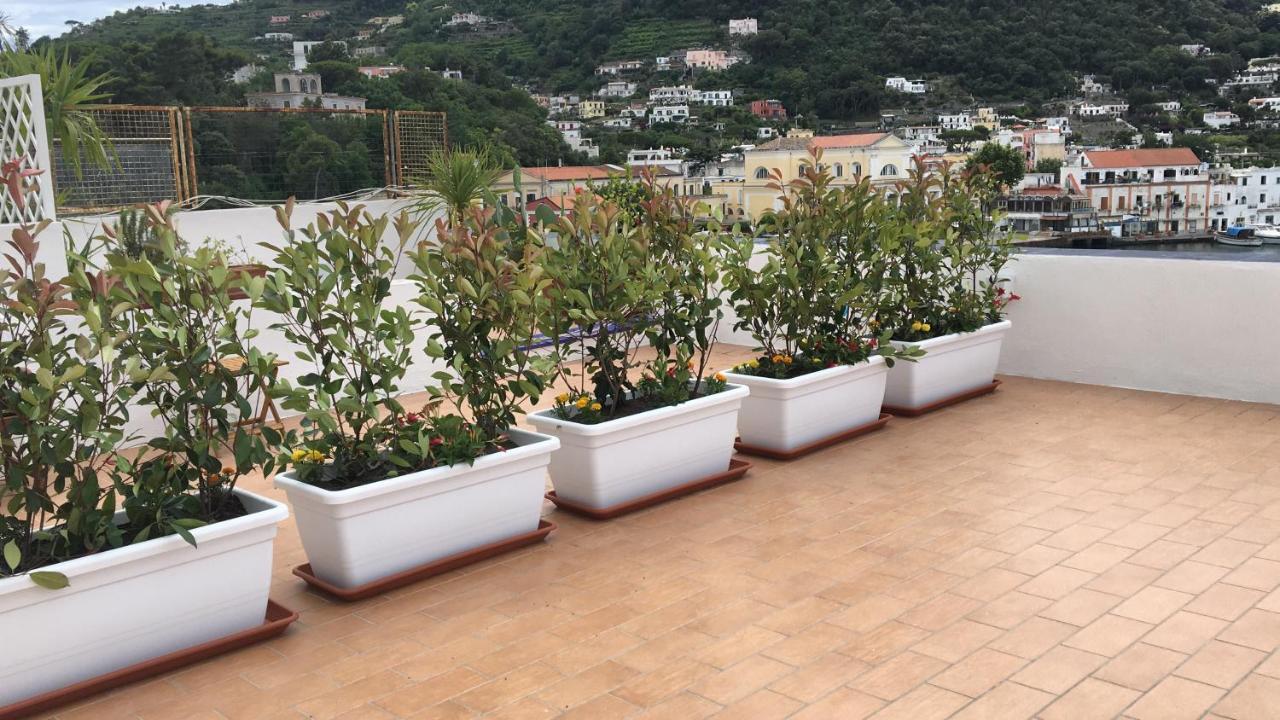 Panorama Da Cartolina Lejlighed Ischia Eksteriør billede
